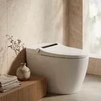 Унитаз Smart с функцией биде Arrow Pollux 40x68 см напольный AKH12016HE Унитаз Smart с функцией биде Arrow Pollux 40x68 см напольный AKH12016HE