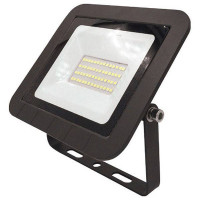 Прожектор светодиодный Эра LPR-061 30 Вт 6500 К LPR-061-0-65K-030