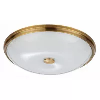Накладной светильник Odeon Light Pelow 4956/5 Накладной светильник Odeon Light Pelow 4956/5