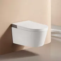 Унитаз Smart с функцией биде Arrow Pollux 34x60 см подвесной AKH1051H Унитаз Smart с функцией биде Arrow Pollux 34x60 см подвесной AKH1051H